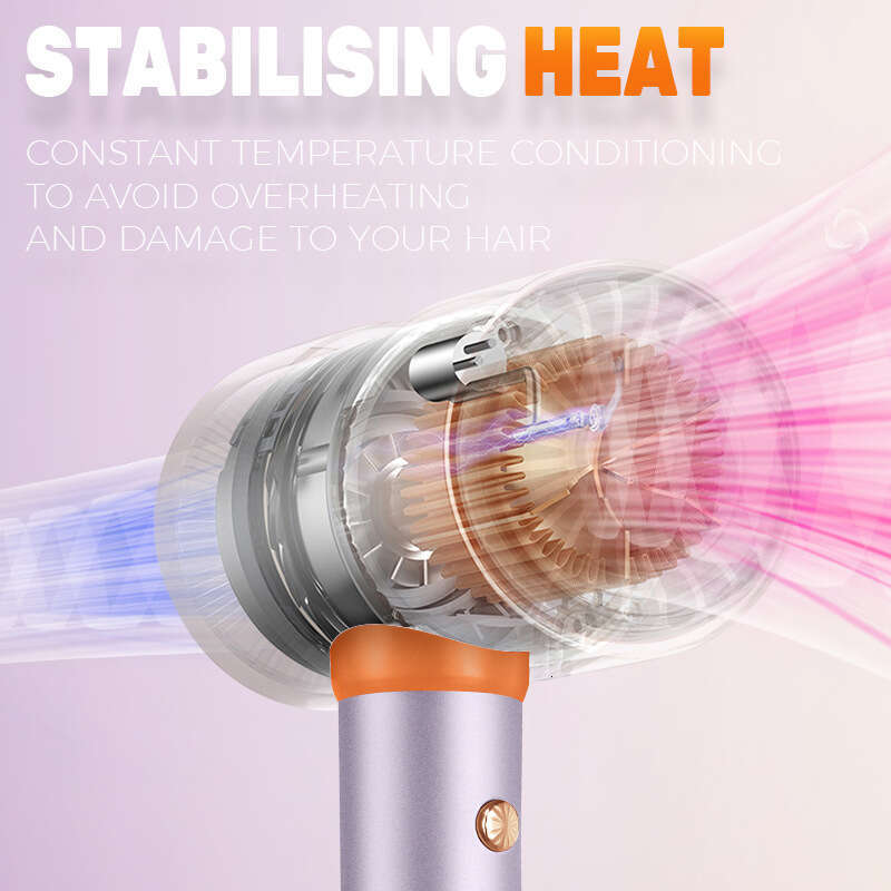 DSP/Dansong High-Speed for Home and Salon Use, High-Power Hair Care Dryer 30657