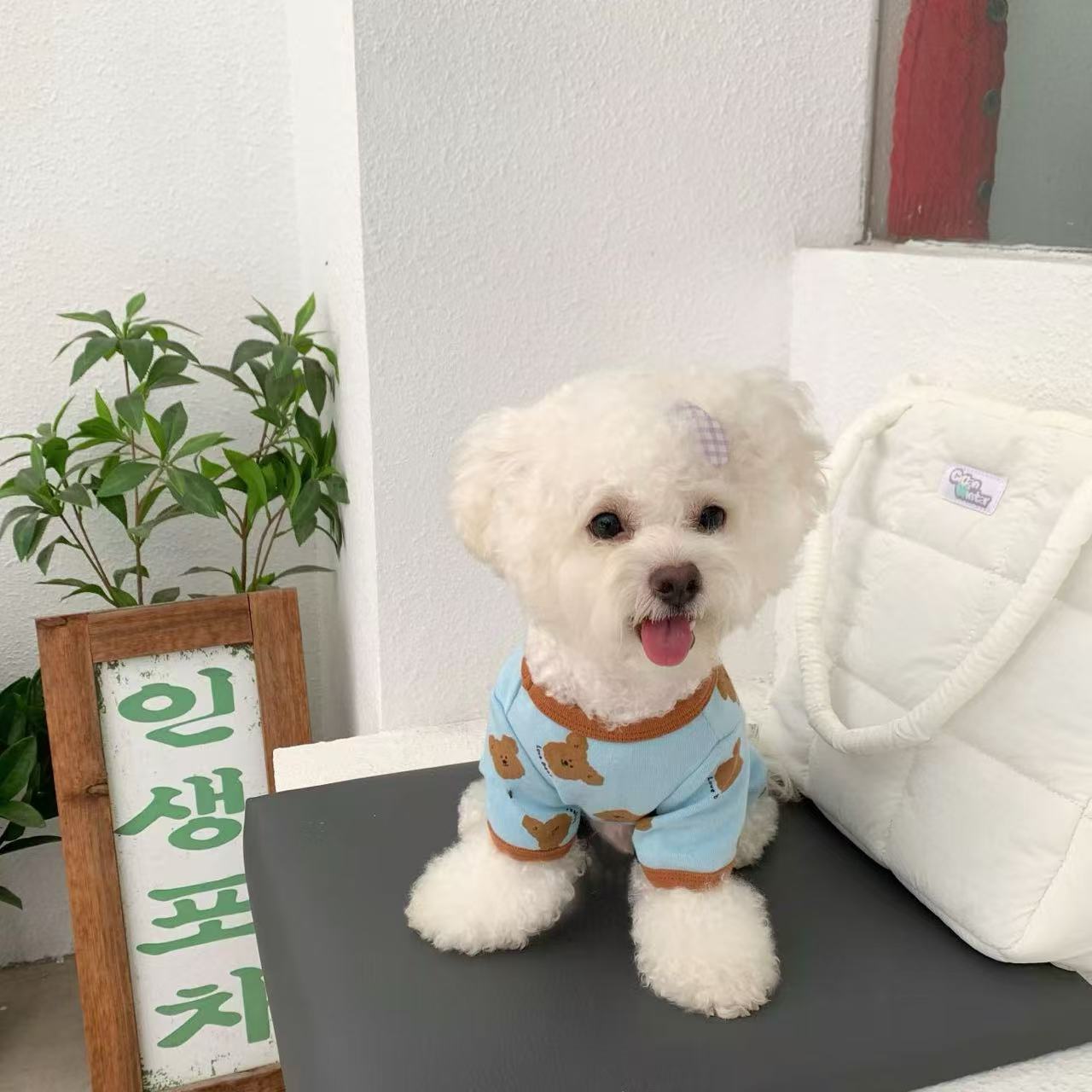 T940 Spring and autumn dog clothes small dog Bichon Teddy Schnauzer bottoming shirt cat Pomeranian autumn and winter puppy four-legged clothes