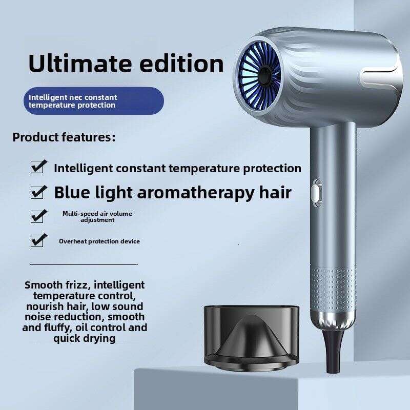 Internet Celebrity High Power Household Dormitory Blue Light Care Hammer Hair Dryer Gift