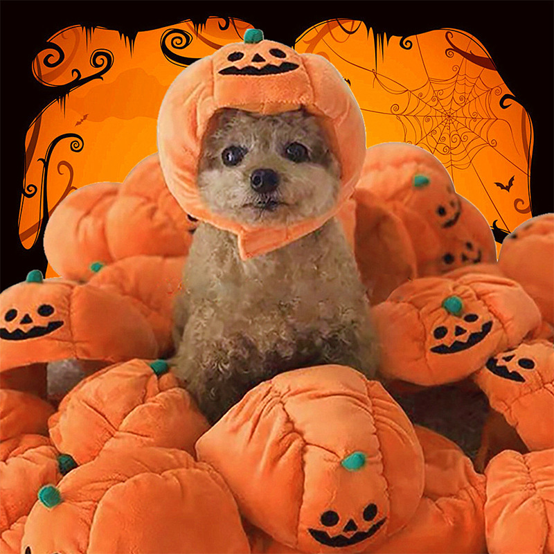 Pet Hat - Halloween Wacky Pumpkin Hat - Cute Pet Costume - Unique and Cute Hat - Transformation Headgear - Dog and Cat