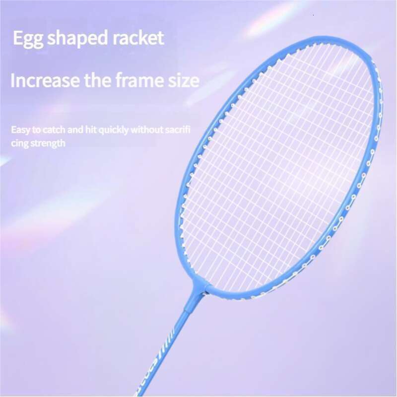 Adult Double Set With High Aesthetic Value aron Color Sponge Handle Badminton Racket