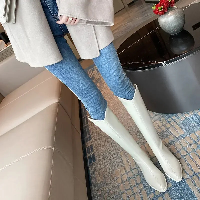 Knee High Shaft Shoes Woman Waterproof Pointed Toe Black Large Size Warm Spring Autumn Long Boots for Women Fashion 250812