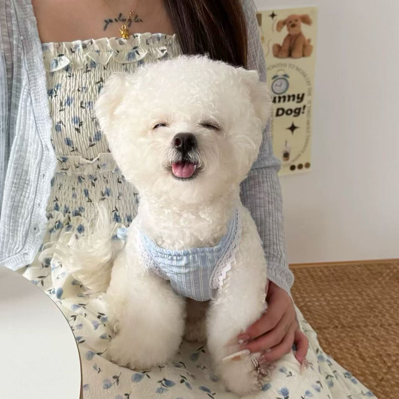 T941 Dog clothes spring and summer anti-hair loss small dog summer Teddy Bichon Maltese striped traction chest harness
