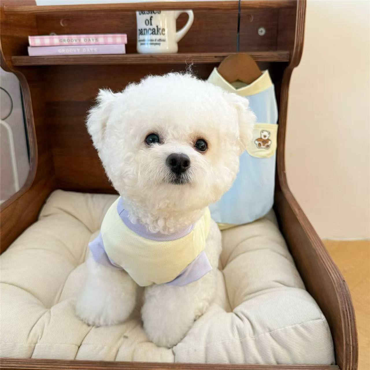 T935 Dog clothes breathable summer thin Teddy Bichon Maltese small dog Pomeranian pet vest cool clothes