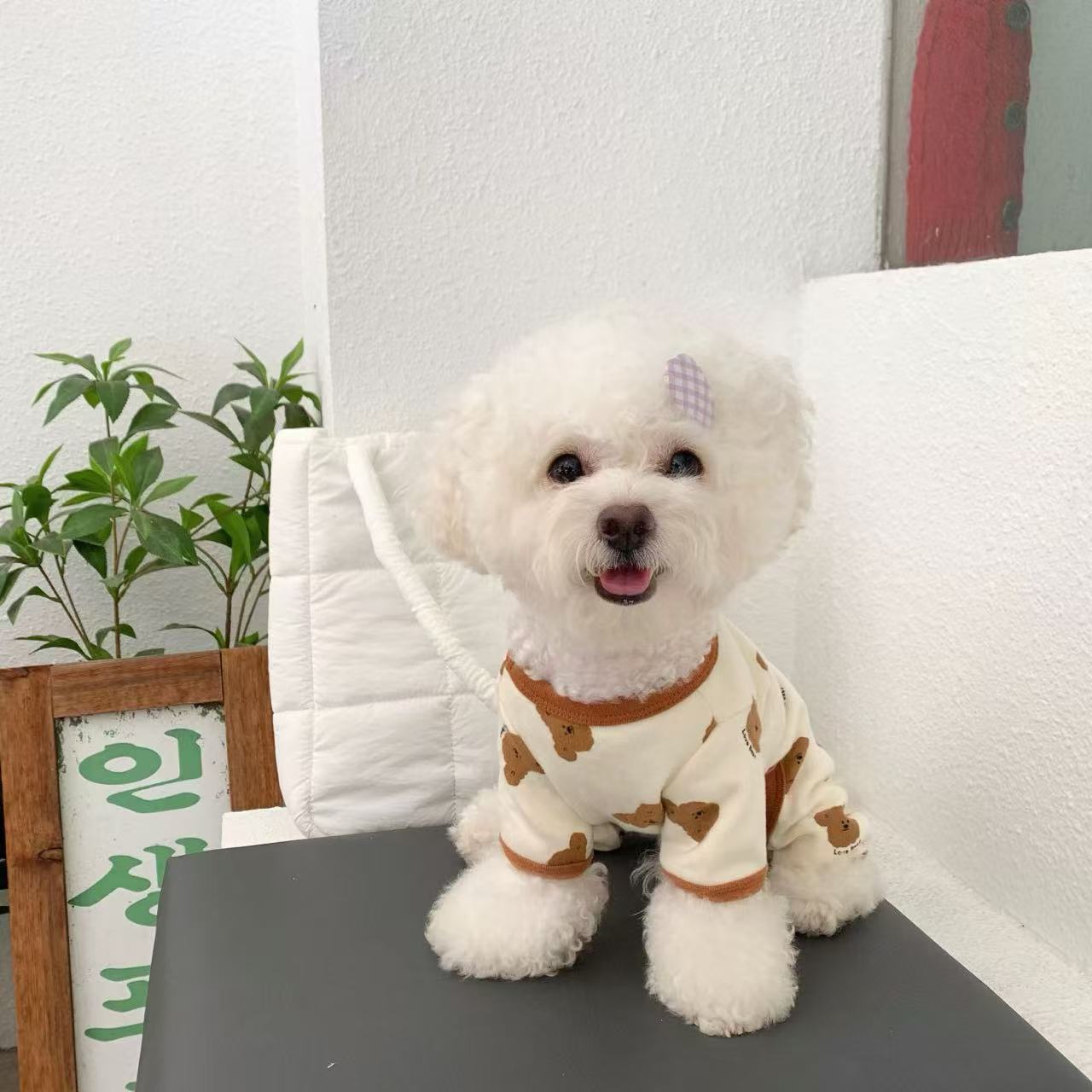 T940 Spring and autumn dog clothes small dog Bichon Teddy Schnauzer bottoming shirt cat Pomeranian autumn and winter puppy four-legged clothes