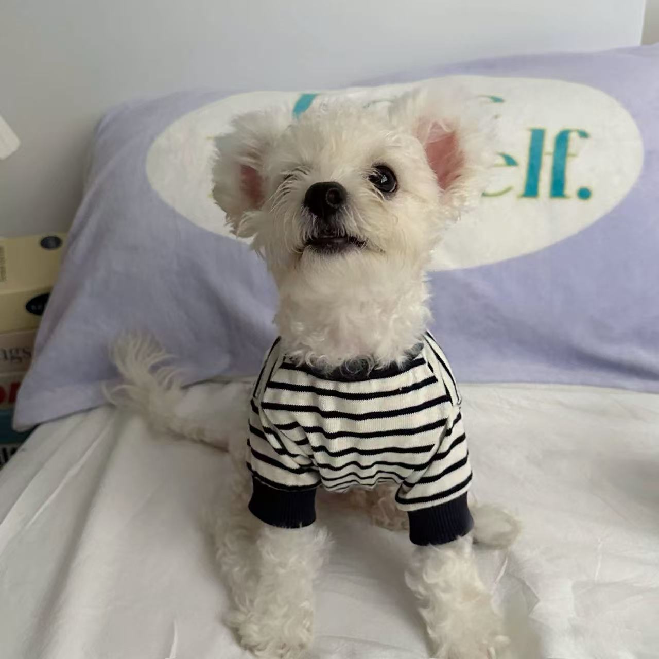 T938 Spring and Autumn Pet Dog Clothes Autumn Warm Small Dog Puppy Bichon Teddy Pomeranian Puppy Bottoming Shirt