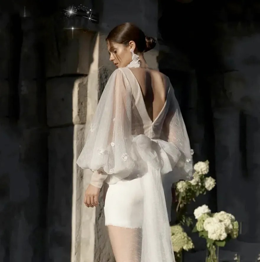 Customized Modern Mini Tulle Wedding Dress Illusion Long Sleeves Appliques Sexy Deep V-Neck Bridal Dress Simple Sweep Train 2025