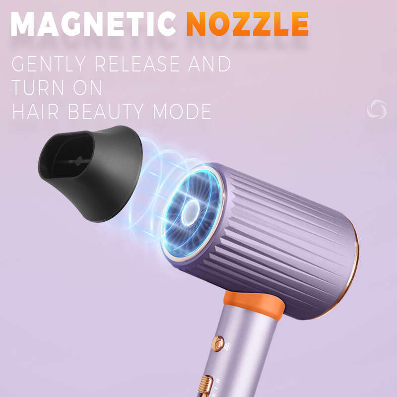 DSP/Dansong High-Speed for Home and Salon Use, High-Power Hair Care Dryer 30657