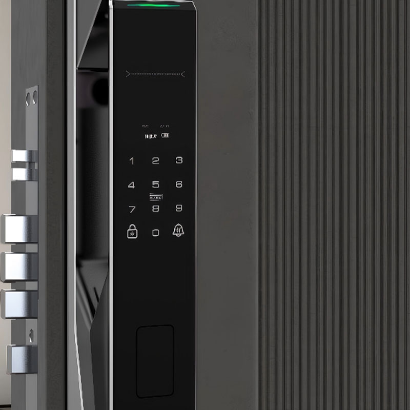 Fully Automatic Visual Intercom Face Recognition Smart Door Lock with Camera Digital Keyless Smart Lock RUBINHR X5