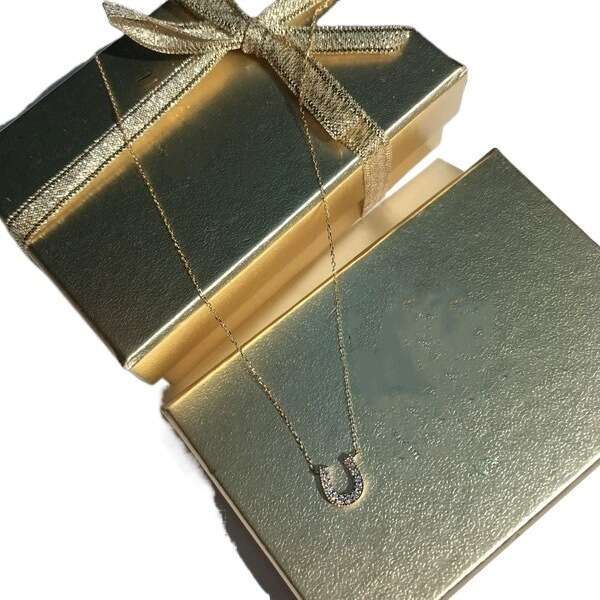 New Designer Lucky Jewelry Horseshoe for Women U-Shaped Simple Inlaid Zircon Necklace Collarbone Sweater Chain Ins