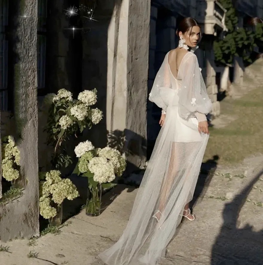 Customized Modern Mini Tulle Wedding Dress Illusion Long Sleeves Appliques Sexy Deep V-Neck Bridal Dress Simple Sweep Train 2025