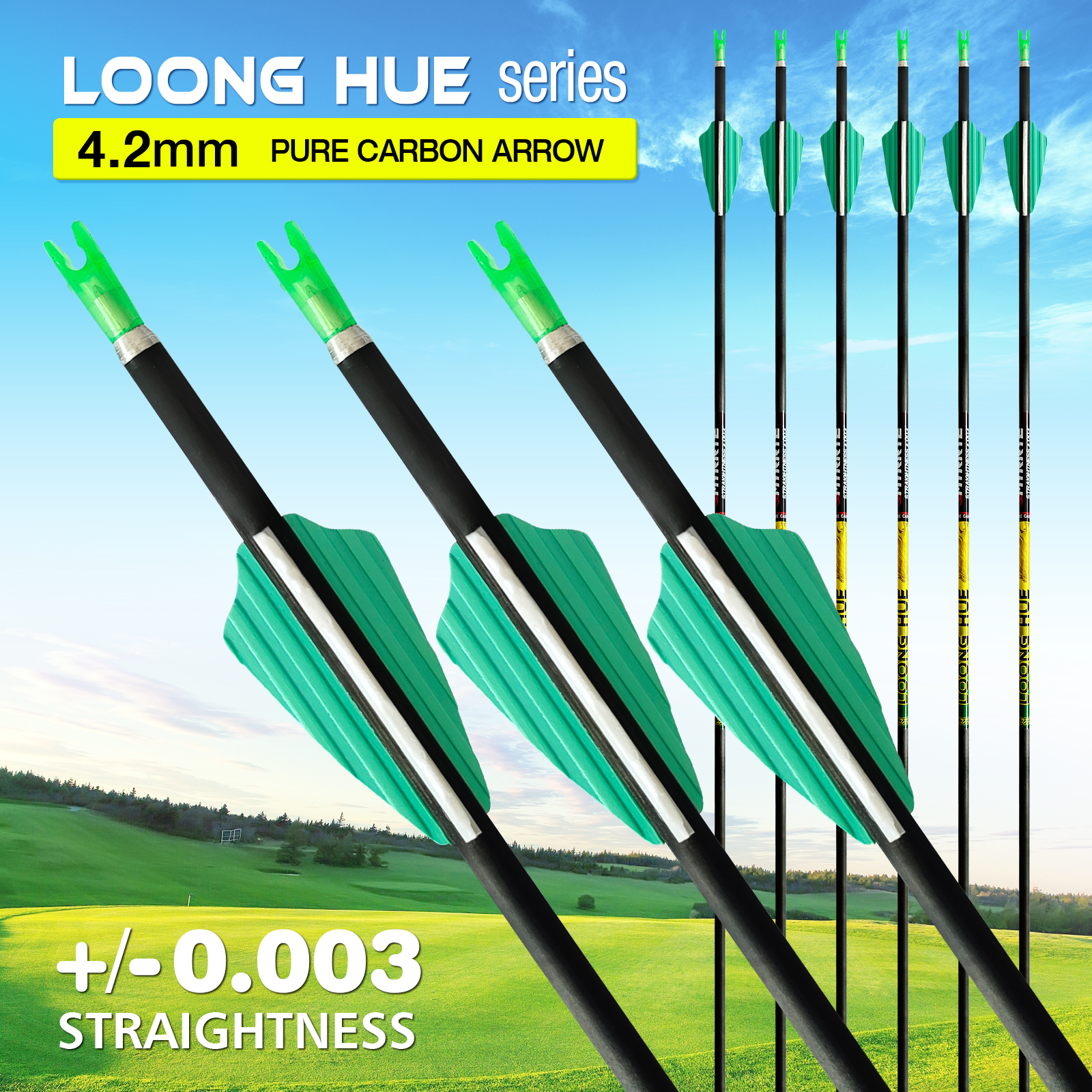 6Pcs Carbon Fiber Arrows without Arrowheads 31inch Hunting Arrows for Archery 4.2mm Targeting Arrows for Recurve Bow & Compound Bow Spine 350-1500