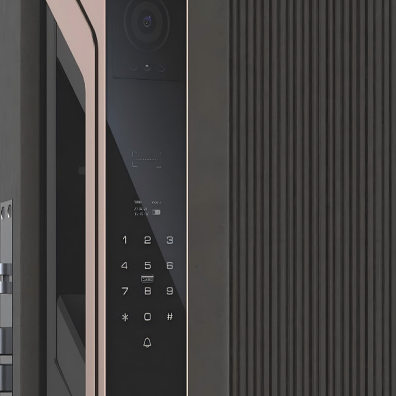 RUBINHR C929 Smart Electronic Digital Door Lock with Dual Cameras, Secure Facial Recognition, and Fingerprint Keypad