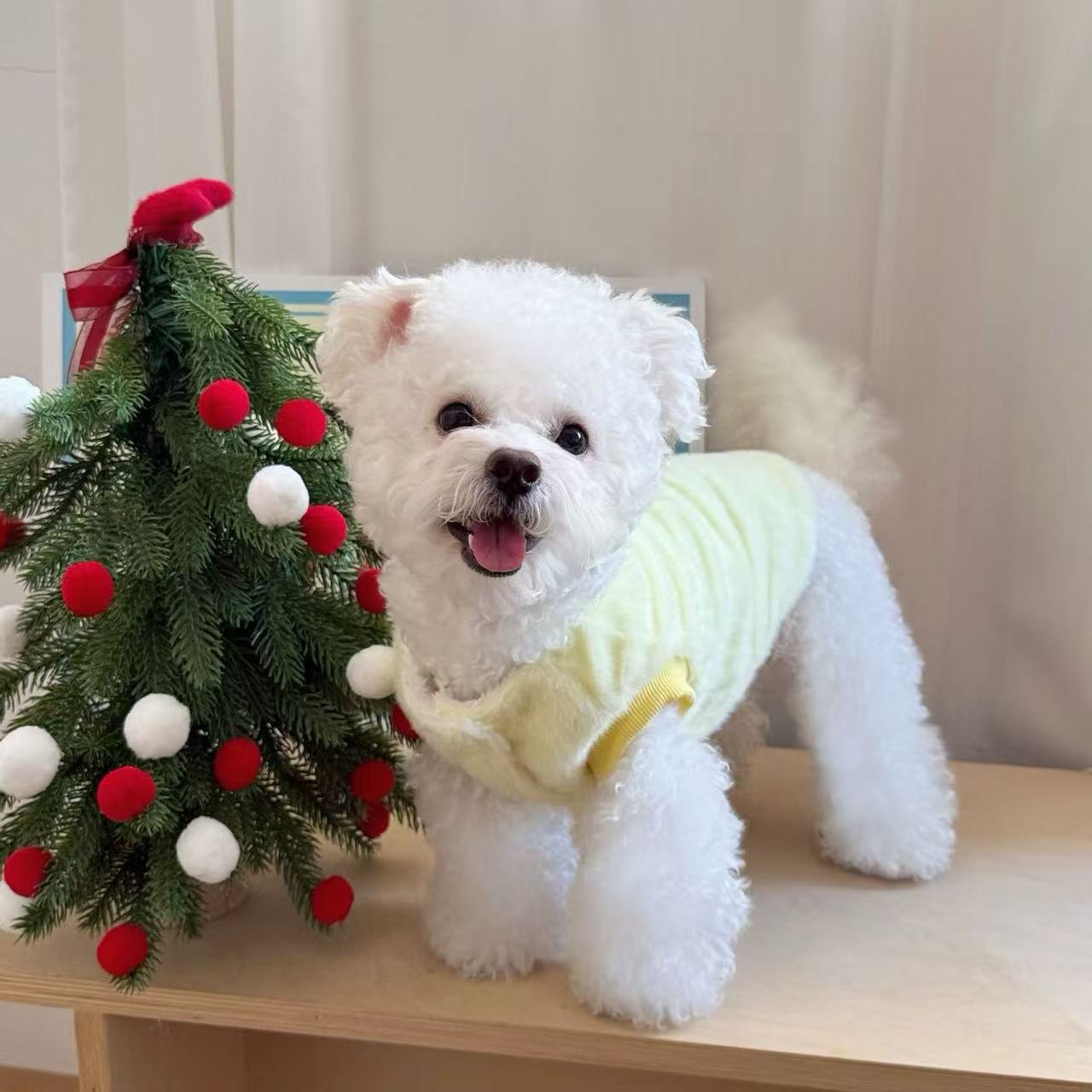 T939 Dog clothes spring and summer thin 2025 new small puppy Bichon Teddy Pomeranian cat anti-hair loss four-legged clothes