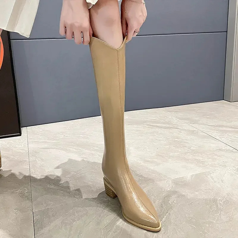 Knee High Shaft Shoes Woman Waterproof Pointed Toe Black Large Size Warm Spring Autumn Long Boots for Women Fashion 250812