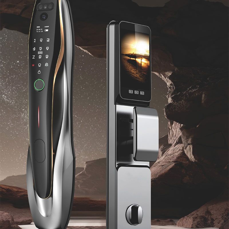 Application of Remote Secure Fingerprint and Facial Recognition Smart Home Door Lock RUBINHR1