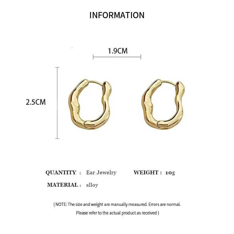 Gold Silver Color Irregular Geometric Metallic Hoop Earrings for Women Simple Cool Ear Buckle Personalized Party Fashion Jewelry XJ250814