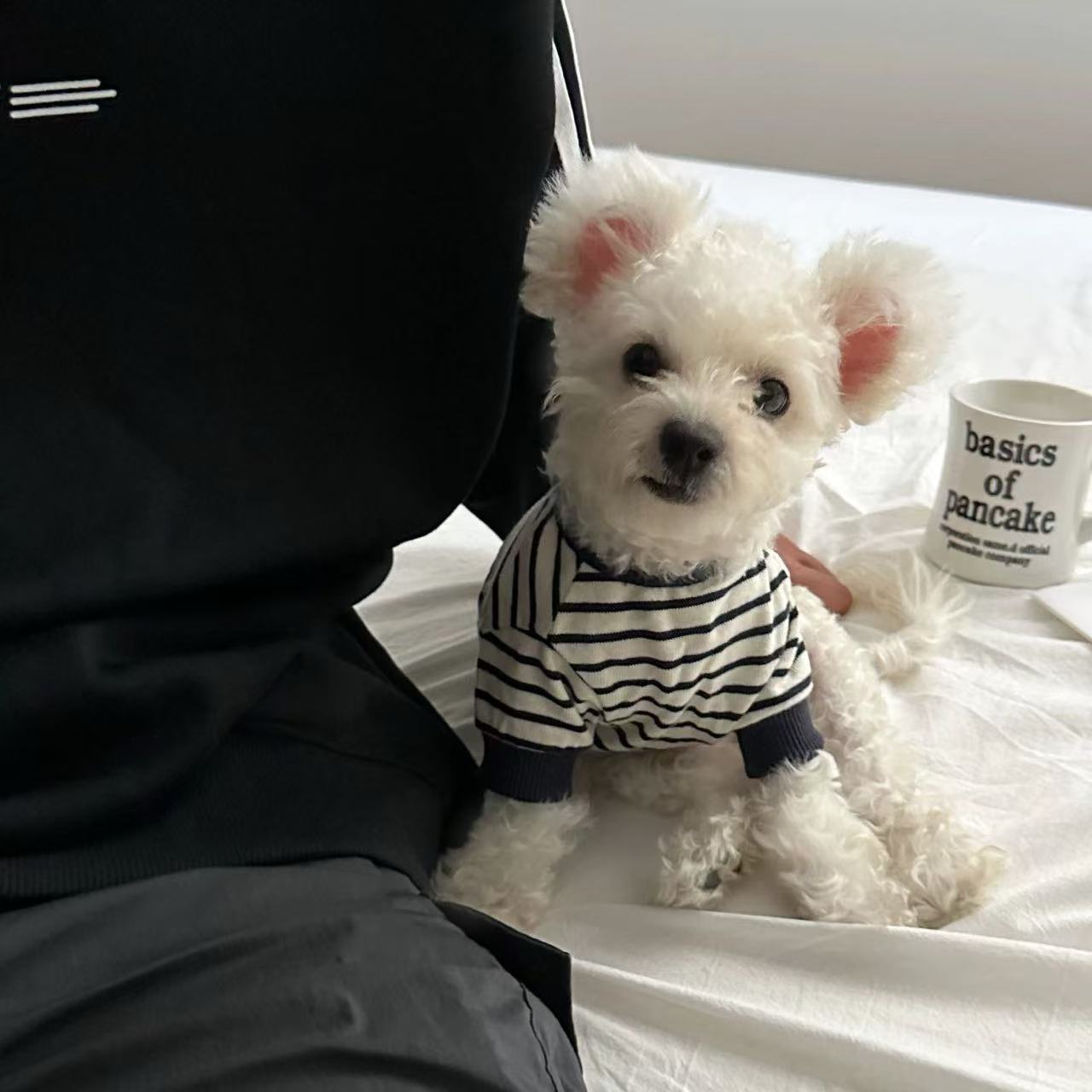 T938 Spring and Autumn Pet Dog Clothes Autumn Warm Small Dog Puppy Bichon Teddy Pomeranian Puppy Bottoming Shirt