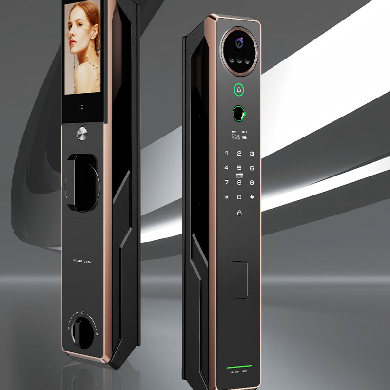 3D Face Recognition Palm Print Remote Control Waterproof Smart Lock RUBINHRC919