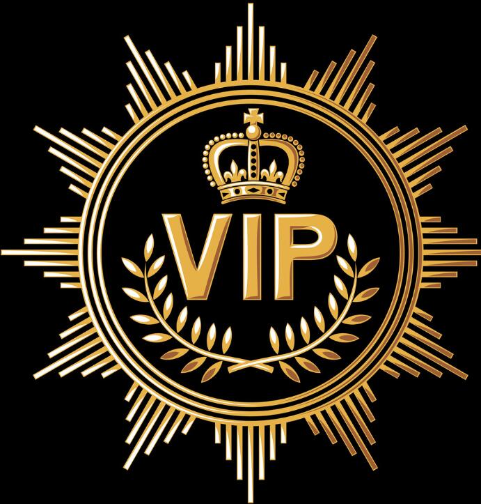 VIP customer special payment link 00