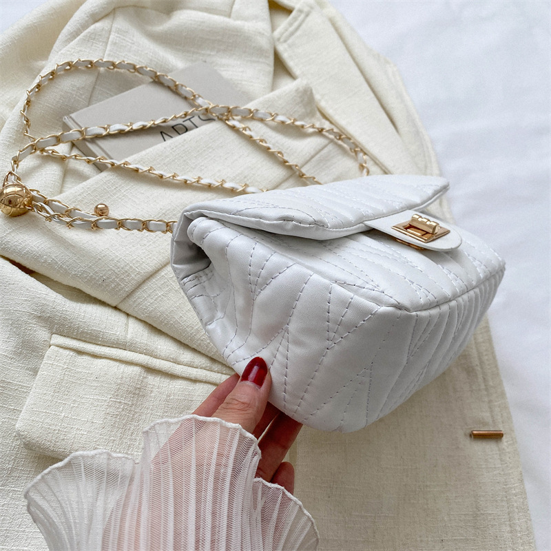 Luxury Brand Designer Bag Versatile Ins Style Crossbody Bag For Women 2024 New Trend Summer Fashion Quilted Chain Bag Embroidered Shoulder Small Squar