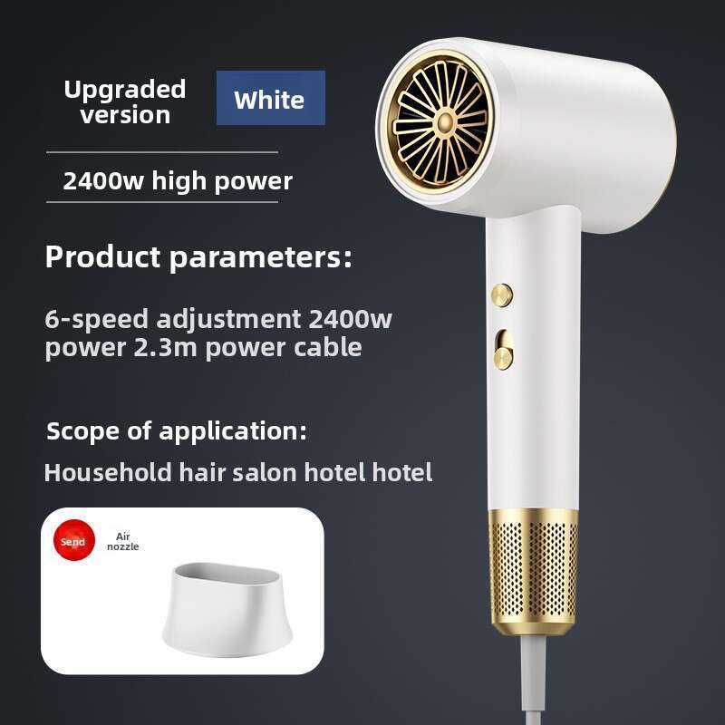 Low Noise Household Hot/Cold Air, Negative-Ion, High-Power, Salon Style Hair Dryer
