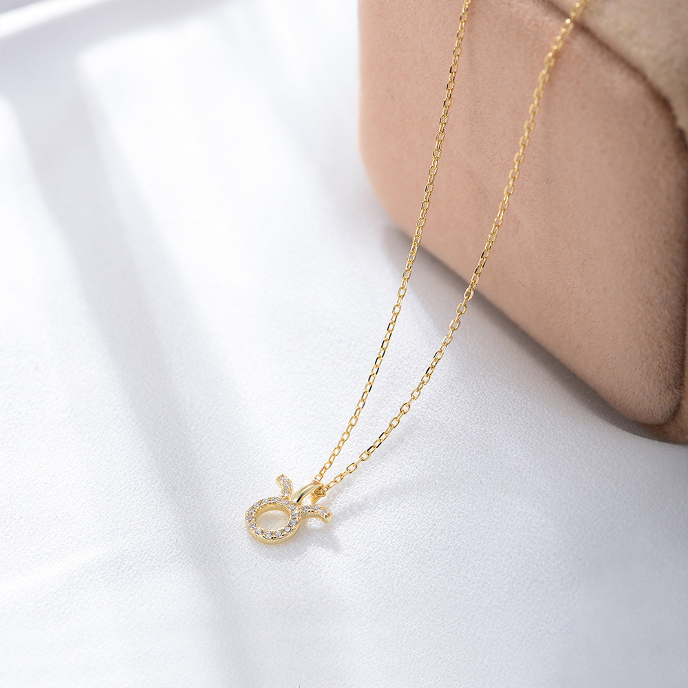 S Sier Inlaid Dia Zodiac Pendant Necklace for Women Fashionable Internet Celebrity Clavicle Chain Jewelry for Women
