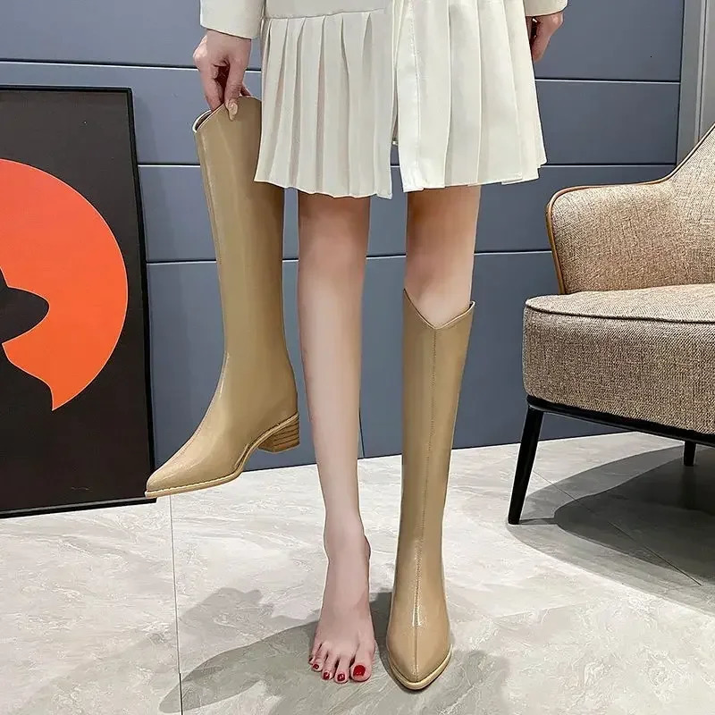 Knee High Shaft Shoes Woman Waterproof Pointed Toe Black Large Size Warm Spring Autumn Long Boots for Women Fashion 250812