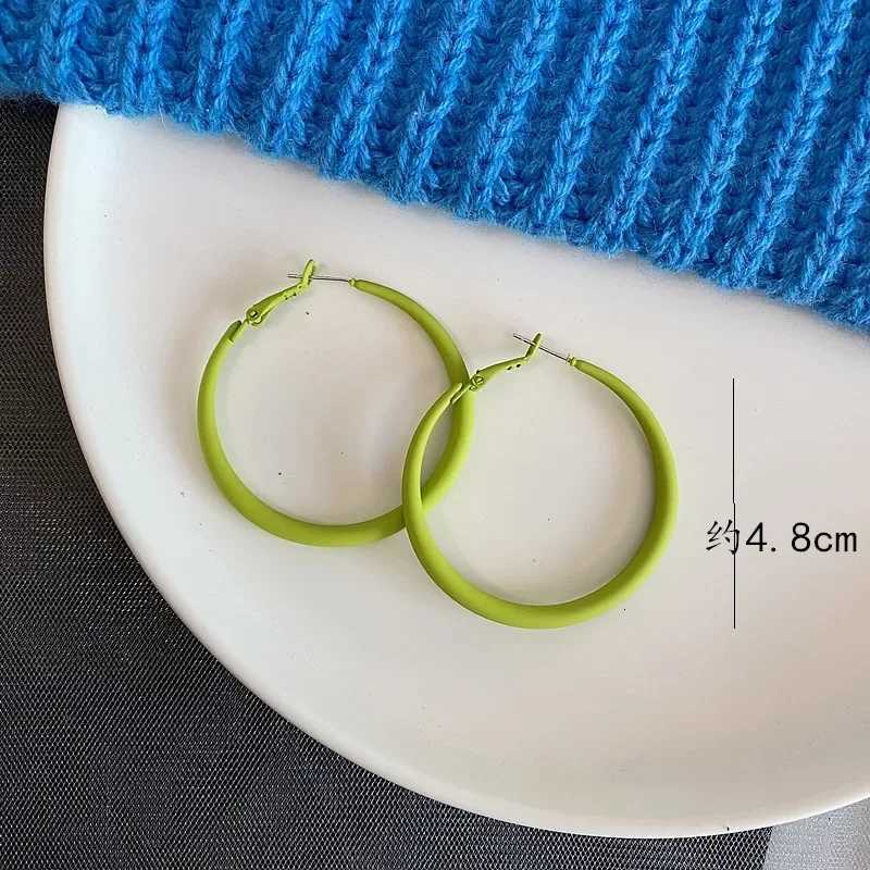 5CM Big Round Circle Blue Green Rose Big Geometry Hoop Earrings for Women Hiphop Rock Temperament Simple Jewelry Brincos Orejeras XJ250814