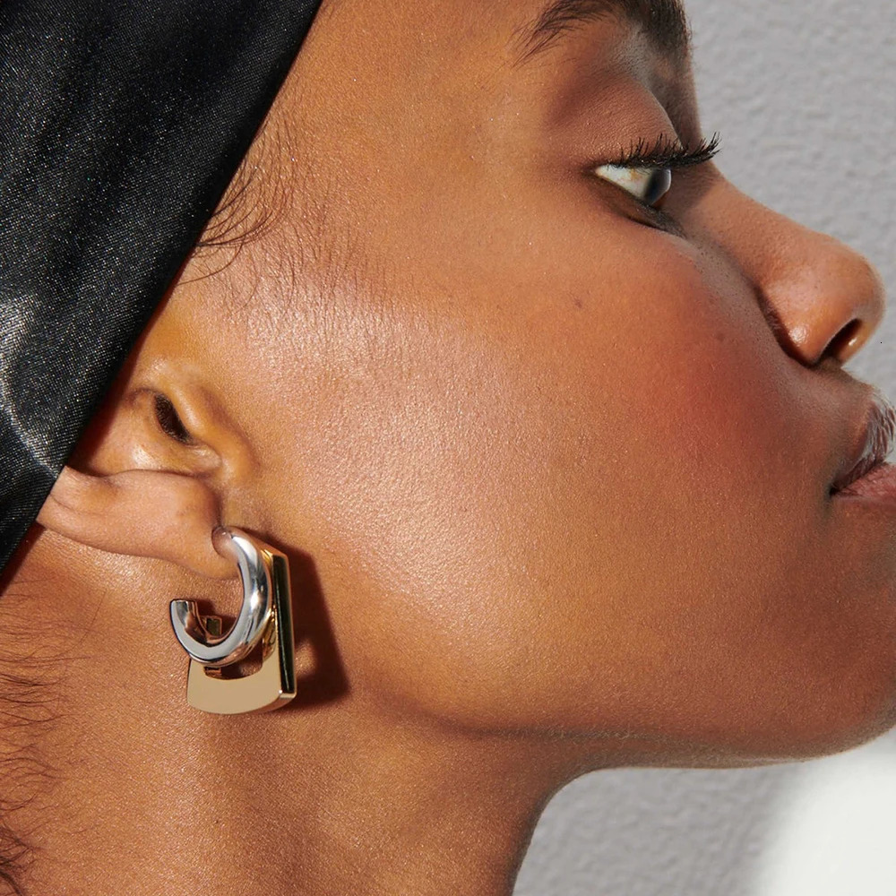 INS Vintage Distinct Gold silver Mix Color Hoop Earrings for Women Quality Stainless Steel Hypoallergenic Huggie Ear Jewelry 250812