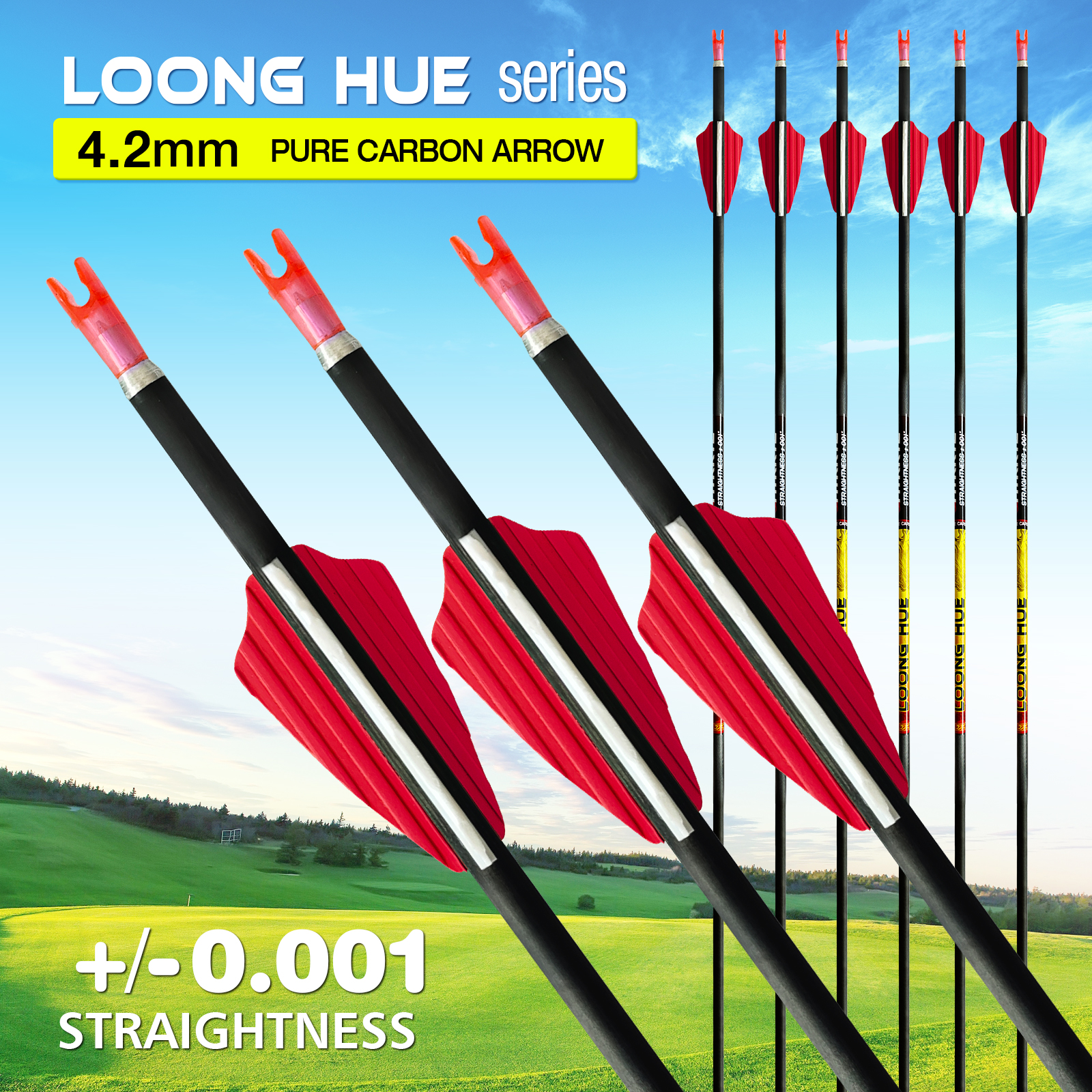 Spine 350-1500 Carbon Arrows without Arrowheads 31inch Carbon Fiber Hunting Arrows for Archery 4.2mm Training Arrows for Recurve Bow & Compound Bow 6P
