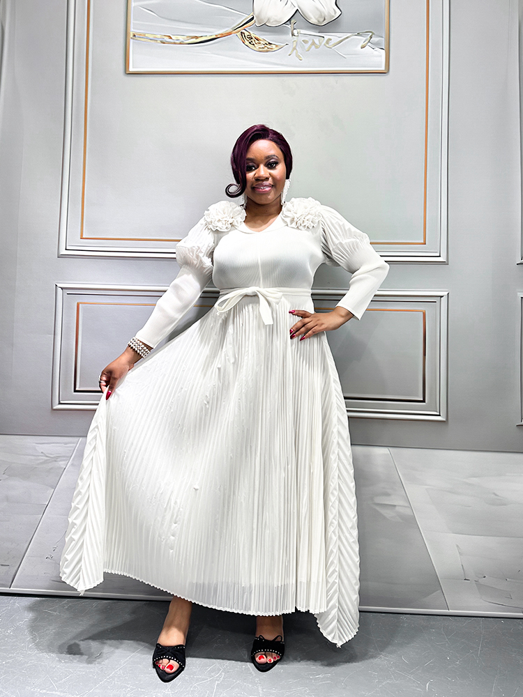 Women's Dresses Classic Womens Dress - Versatile Casual Wear 25101