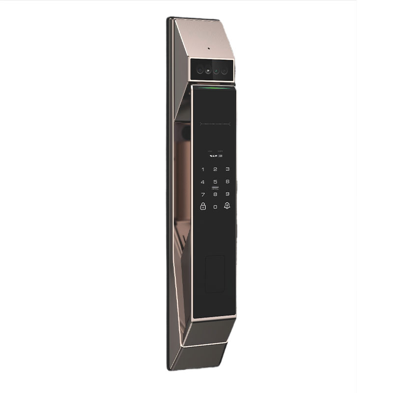 Fully Automatic Visual Intercom Face Recognition Smart Door Lock with Camera Digital Keyless Smart Lock RUBINHR X5