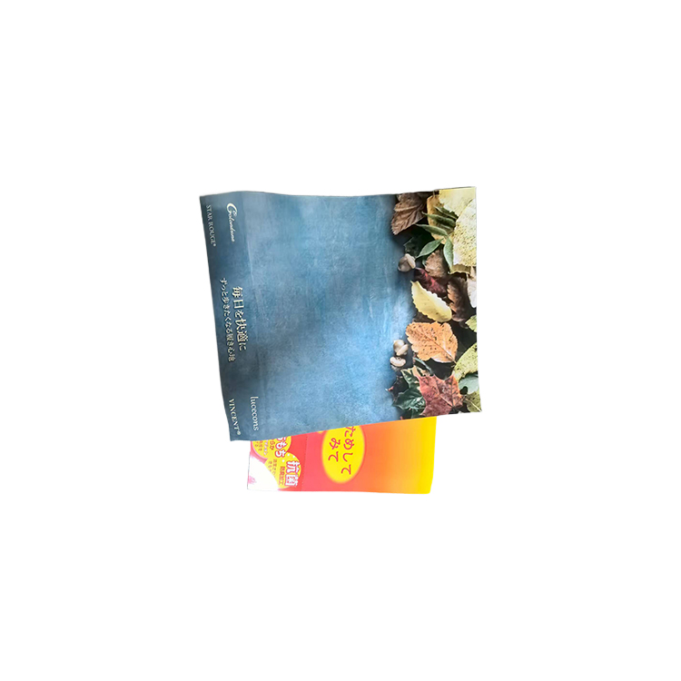 Advertising Exhibition Brochure Printing Coated Paper off Pages Poster Color Manual DM Single Album Customization