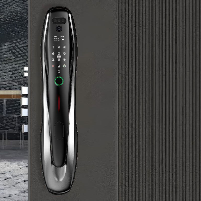 Application of Remote Secure Fingerprint and Facial Recognition Smart Home Door Lock RUBINHR1