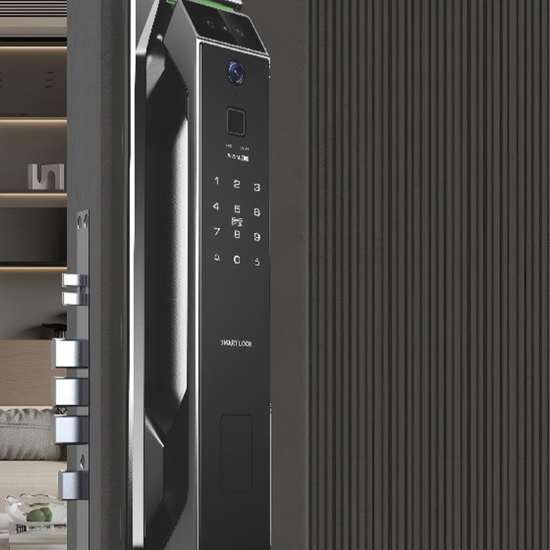 Fully Automatic Smart Lock with Facial Recognition, Smart Door Lock, Password Key, Fingerprint Lock RUBINHRX9