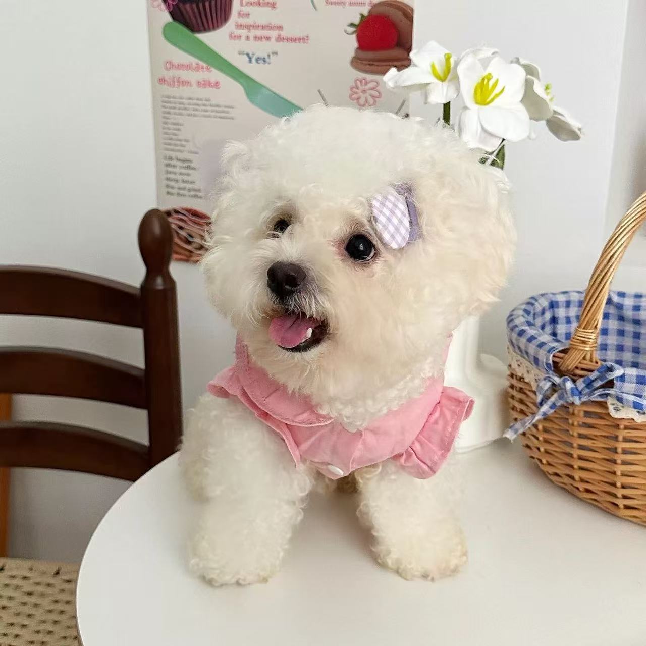 T937 Pet cotton denim chest back skirt Teddy Panda Pomeranian Poodle clothes small dog can hang leash