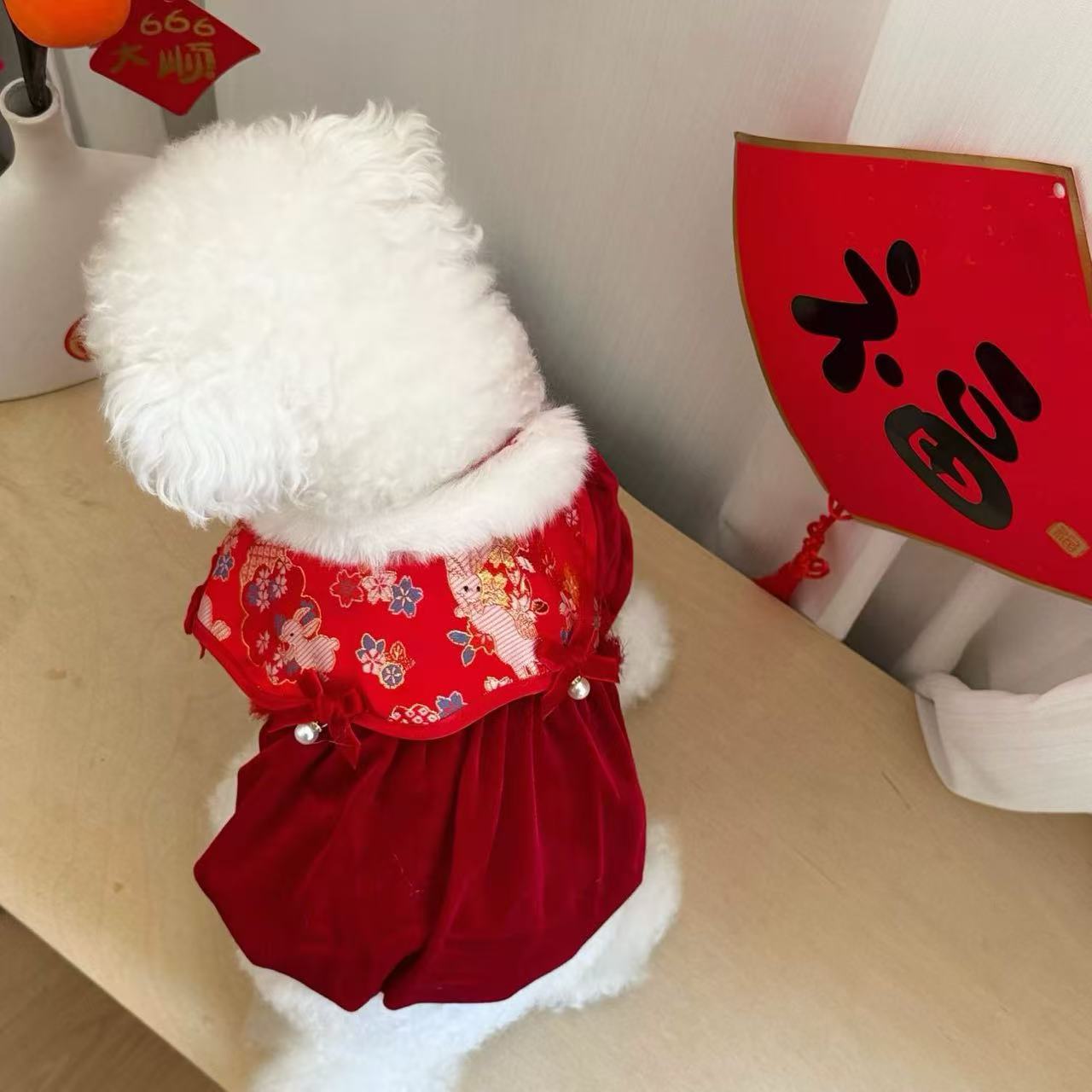 T936 Pet festive New Year blessing suit Tang suit winter Bichon Teddy Pomeranian small puppy autumn and winter dog clothing