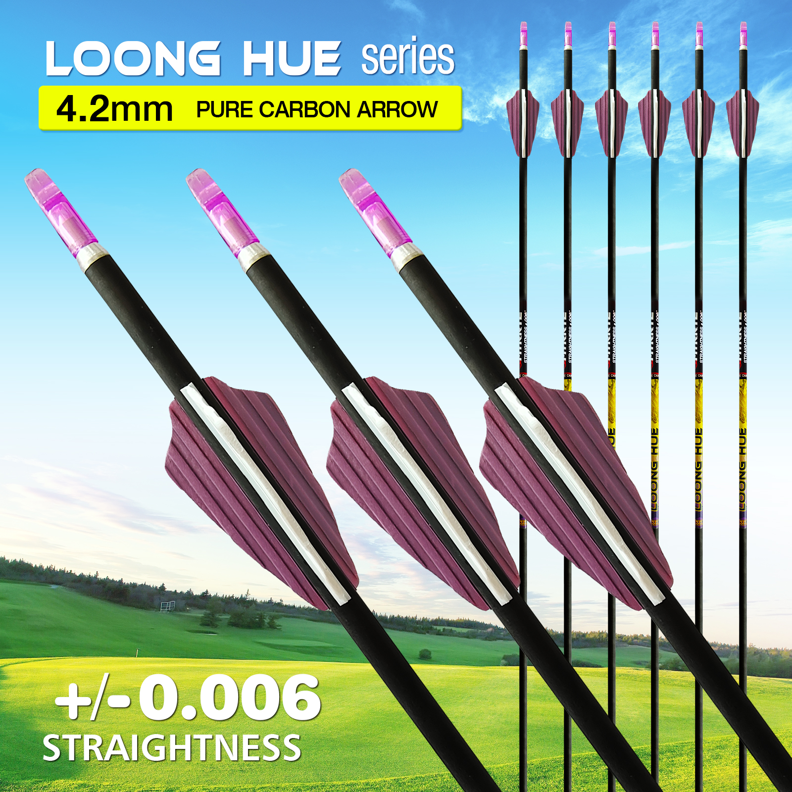 31inch Archery Spine 350-1500 Hunting Arrows without Arrowheads 4.2mm Carbon Fiber Arrows Training Arrows (6Pcs)