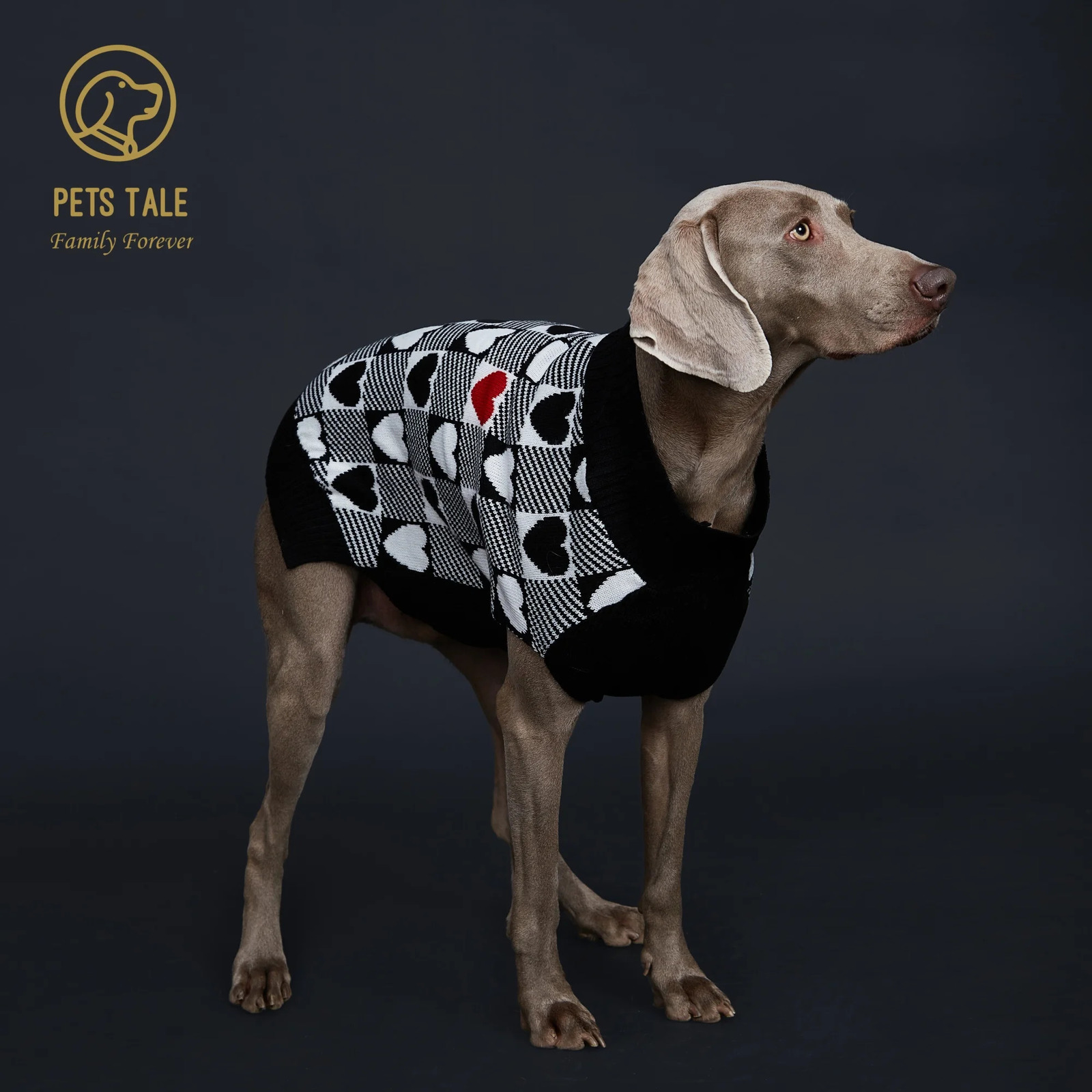 Buffalo Check LoveHeart Intarsia DRing Hole Dog Sweater 250814