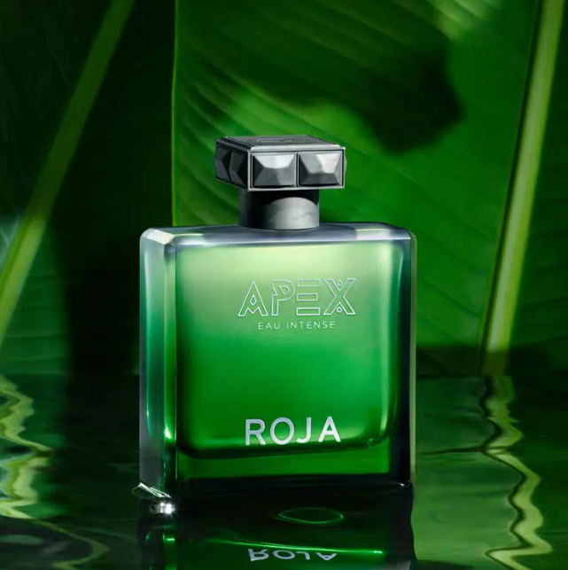 Roja Perfume Elysium Intense Long Lasting Smell Spray Cologne Spray 3.4oz Men Women Neutral Perfume Long Lasting