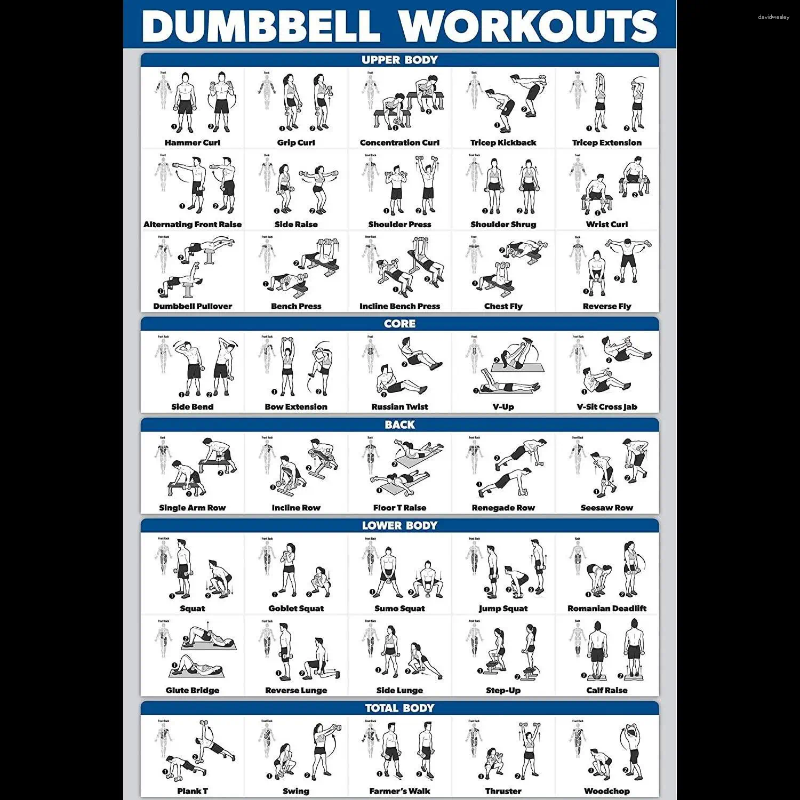 Paintings Dumbbell Workout Exercise Poster Multiple Choice Stretching Kettlebell Free Weight Body Building Guide Home Gym Chart P