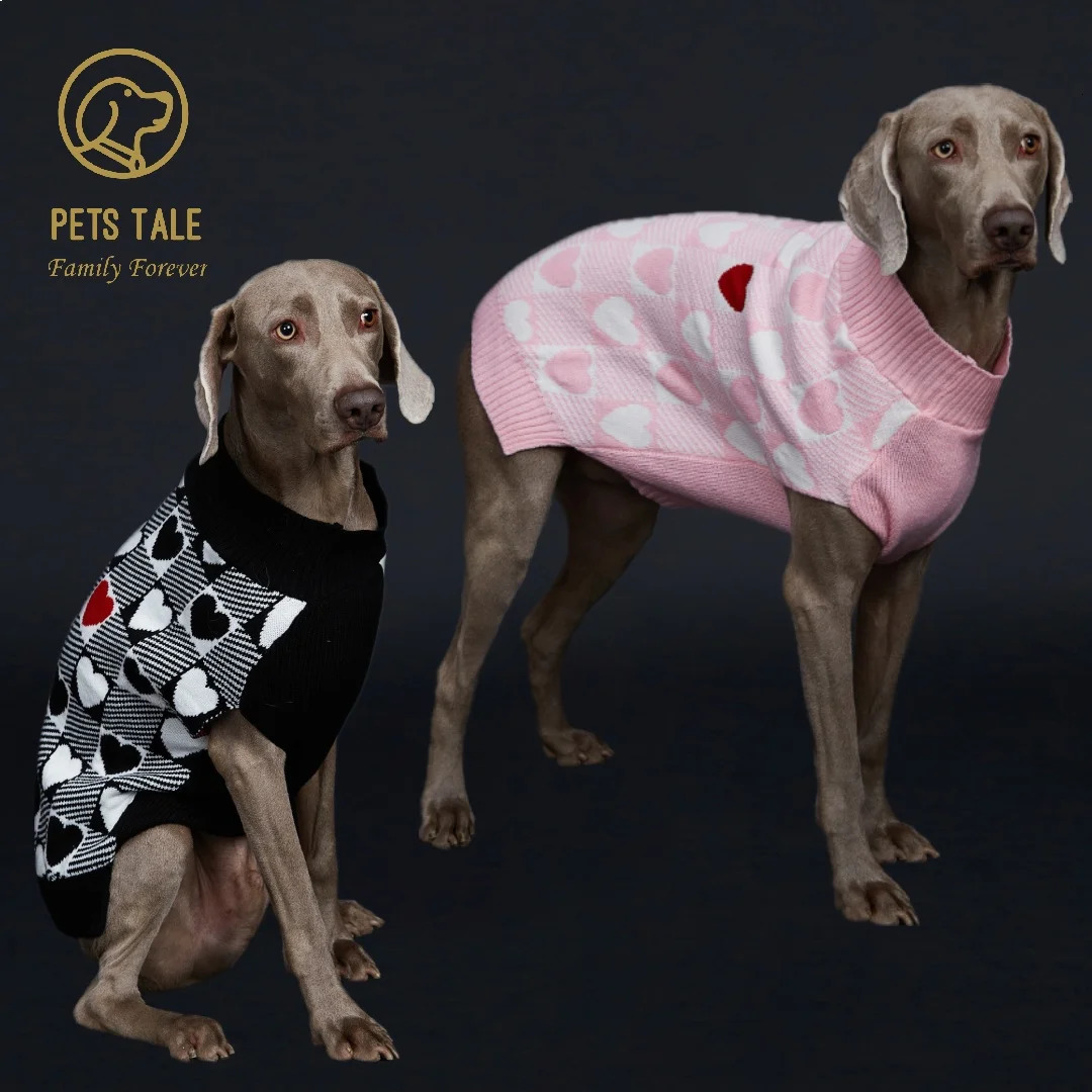 Buffalo Check LoveHeart Intarsia DRing Hole Dog Sweater 250814