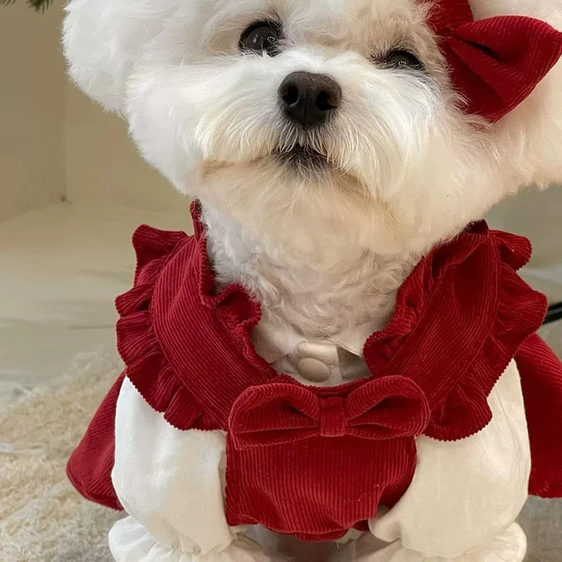 Puppy Bow Knot Dress Set Winter Warm Dog Clothes Pet Christmas Princess Teddy Solid Color Skirt Send Clip 250814