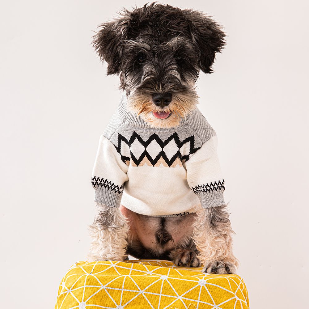 Designer Dog Clothes Luxury Dog Apparel Winter Warm Pet Sweaters Knitted Turtleneck Cold Weather Pets Coats Puppy Cat Pullover Clothing for Small Dog 