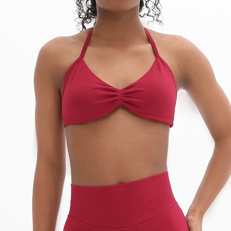 High Stretch Matte Nylon Yoga Halter Sports Bra Ruched Beautiful Back Workout Bra Women