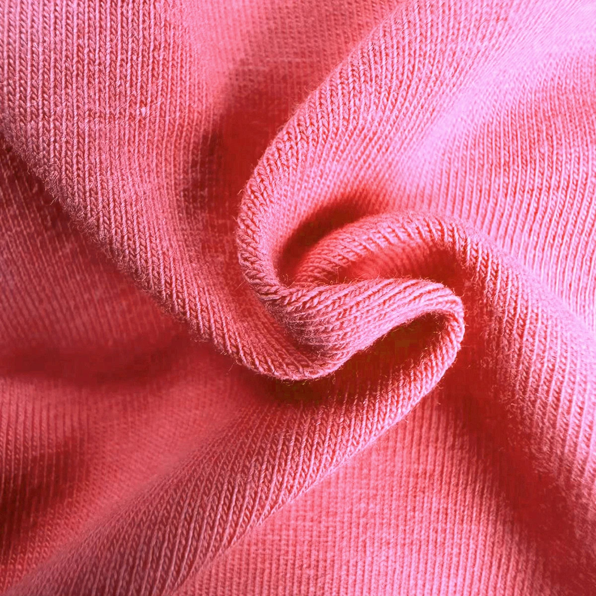 Little miss princess Summer Vest Dog For Small Puppy Clothes Pet Tshirt 250814