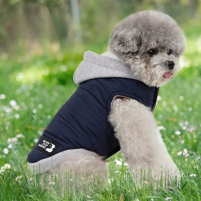 Pet Dog Warm Sweatshirt Spliced Hooded Vest Small and Mediumsized Thickened Autumn Winter Fashionable 250814
