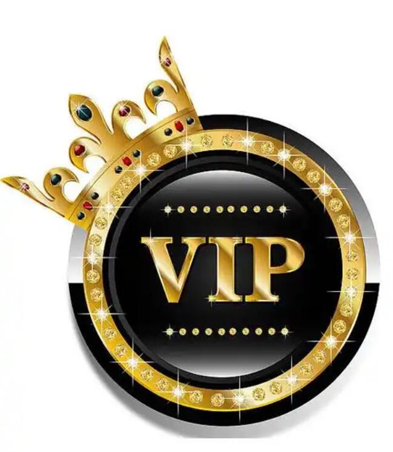 VIP customer special payment link 005