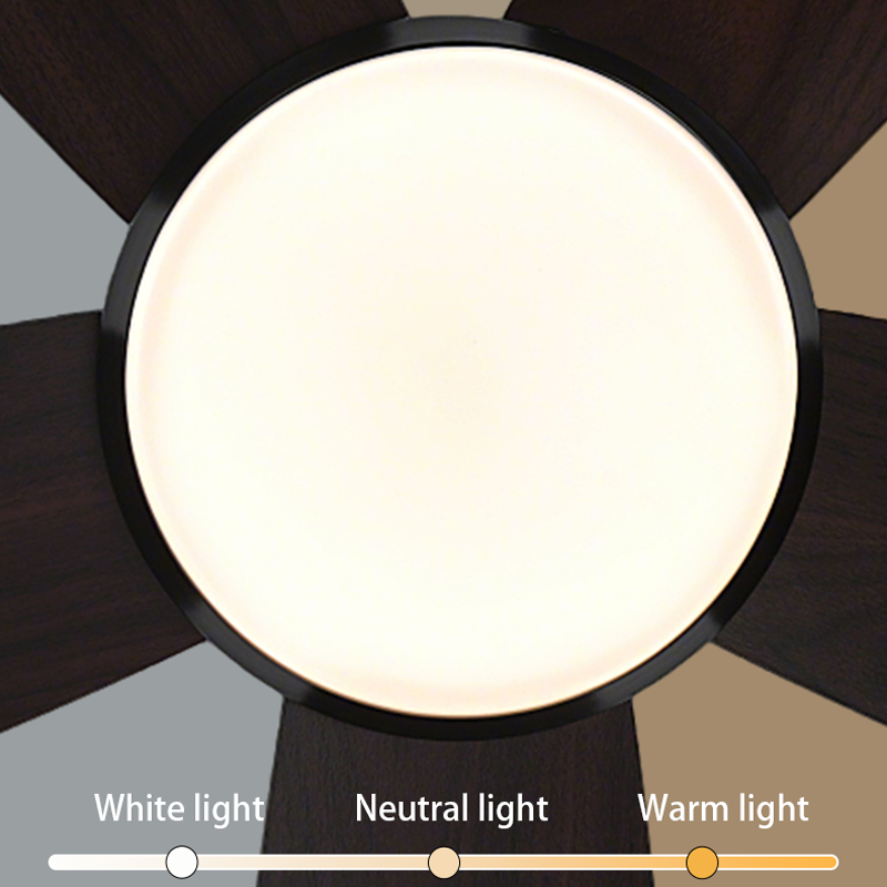 fan lamp Elegant Ceiling Mounting 42 Inch Blower Luminaire for Spacious Rooms-CF2545